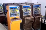 TP三只疯狂小猪平台深度解析其独特玩法与用户价值